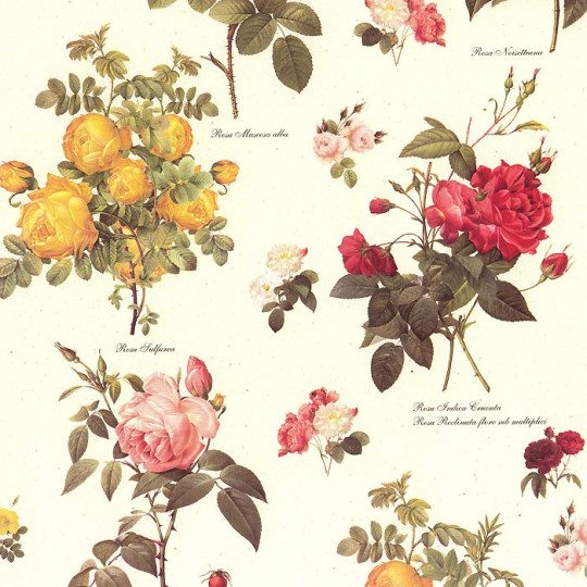 Mixed Rose Bouquets Italian Paper ~ Tassotti